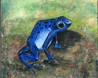 Don&#39;t Kiss this Frog Poison Arrow Frog Original Acrylic on Canvas Painting