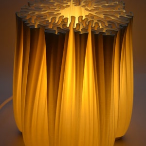 table lamp SX1 diploria lighting image 3