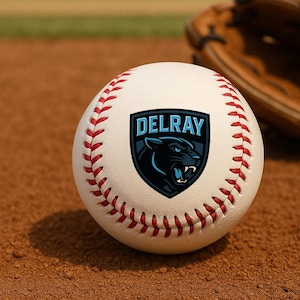 May include: White baseball with red stitching and a black panther logo with the text "DELRAY" in blue on a blue shield.