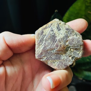 May include: A rough, reddish-purple ruby crystal with a hexagonal shape. The crystal has a natural, unpolished finish and is a raw gemstone.