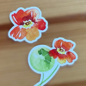 Watercolor Nasturtium Stickers: Durable Vinyl Flower Decals - Set of 2