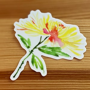 以下が含まれることがあります： 赤とピンクのアクセントが付いた黄色の花の水彩画。花は白い背景の上にあります。