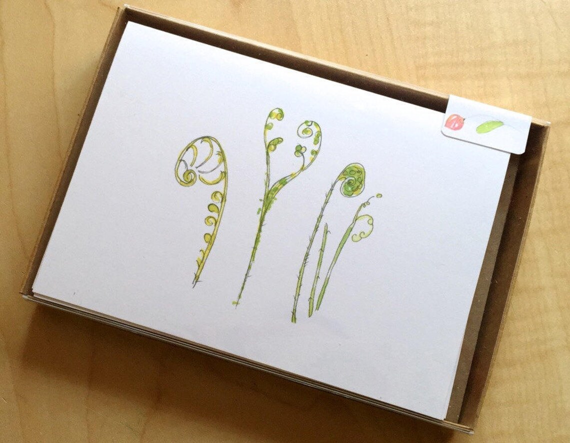 Watercolor Fiddlehead Fern Blank Note Cards Boxed Blank Etsy