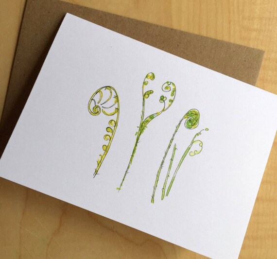 Watercolor Fiddlehead Fern Blank Note Cards Boxed Blank Etsy