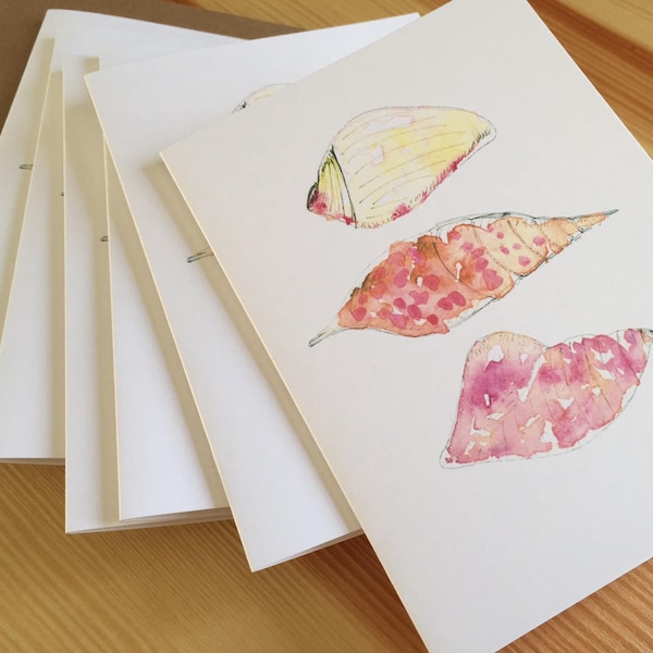 Watercolor Seashells Blank Note Cards - Boxed Blank Beach Greeting Cards - Pink Seashell Cards - Box of 8