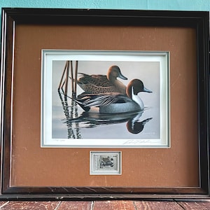 Signed Phil Scholer Northern Pintail Duck Stamp Print - Framed Limited Edition
