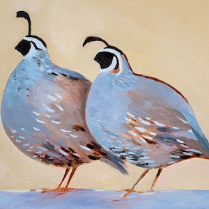 Quail Art Print Multiple Sizes of Two California Quail
