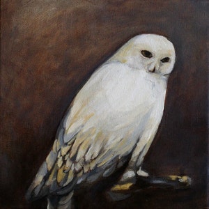 Owl painting - original oil painting giclee print / Snowy Owl