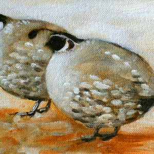 Quail Art Print - two quail - painting