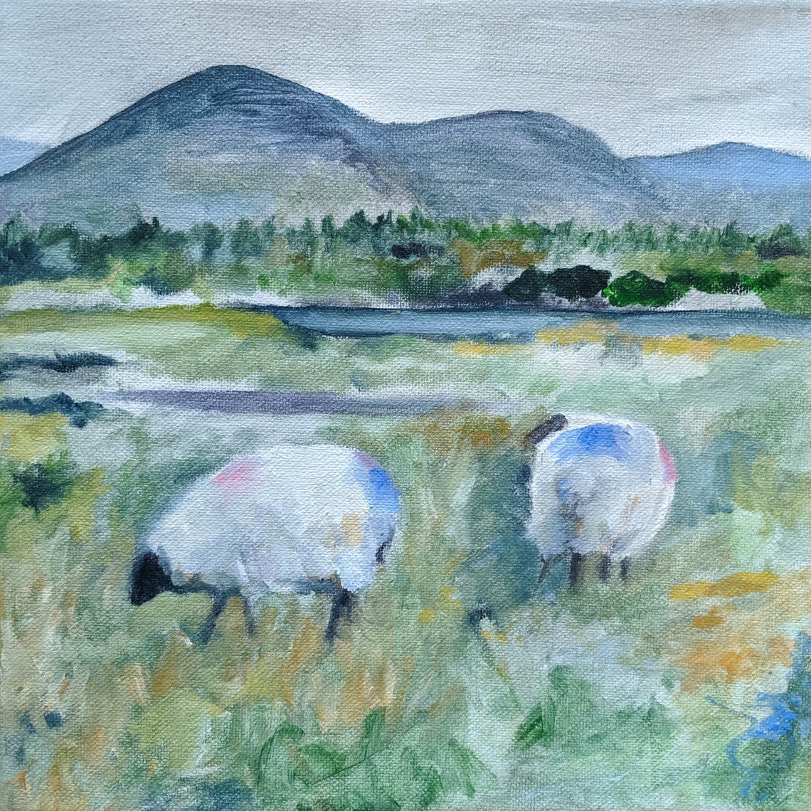 Irish Sheep Art Print of Original Oil Painting 8.5x11 Inches Etsy