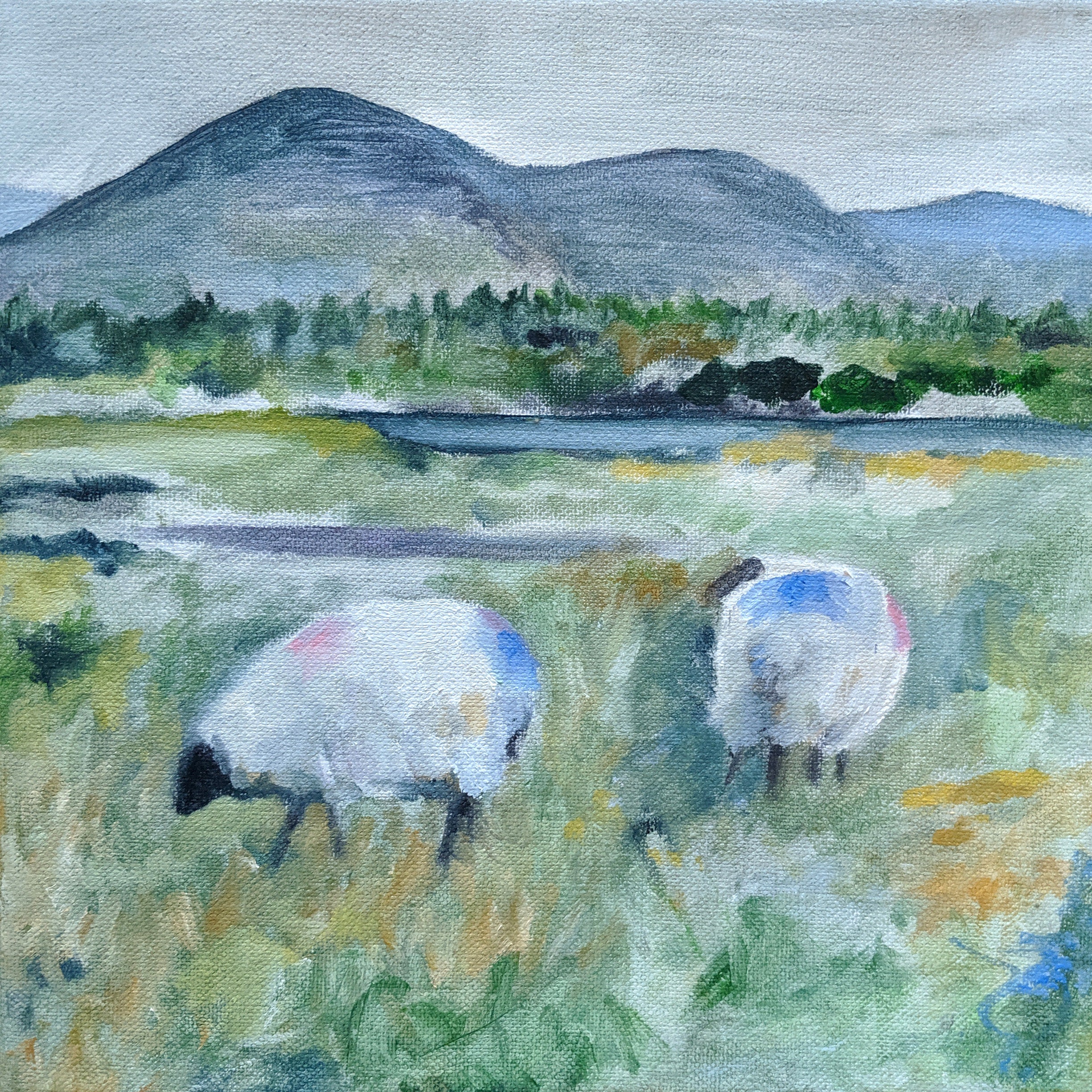 Irish Sheep art print of original oil painting 7x7 inches landscape painting Irish countryside with sheep