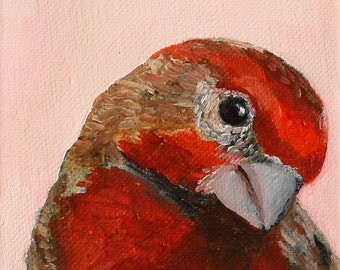 House Finch Print Red Bird / art print of oil painting / archival art print