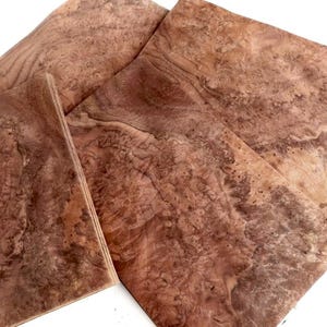 Könnte beinhalten: Nahaufnahme von mehreren Holzfurnierstücken mit rotbrauner Farbe und einem einzigartigen, wirbelnden Maserungsmuster. Das Holz hat ein natürliches, organisches Aussehen mit Farb- und Texturvariationen. Die Stücke sind auf einer weißen Oberfläche angeordnet.