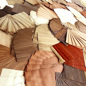 May include: A collection of various wood veneer samples in shades of brown, tan, and red. The veneers are arranged in fan-like patterns, showcasing the different grain patterns and colors of the wood.