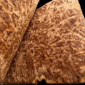 Pode incluir: Close-up de duas peças de madeira com um padrão de grão de burl único. A madeira apresenta uma mistura de tons castanhos claros e escuros, criando uma textura visualmente interessante. As bordas da madeira são visíveis, mostrando a forma natural.