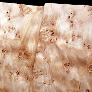 Könnte beinhalten: Nahaufnahme von zwei hellen Holzfurnierstücken mit einem einzigartigen Maserungsmuster. Das Holz weist wirbelnde Muster und kleine, dunkle Knoten auf, wodurch ein strukturiertes und natürliches Aussehen entsteht. Das Holz hat eine warme, hellbraune Farbe.