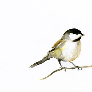 watercolor painting chickadee bird art print chickadee