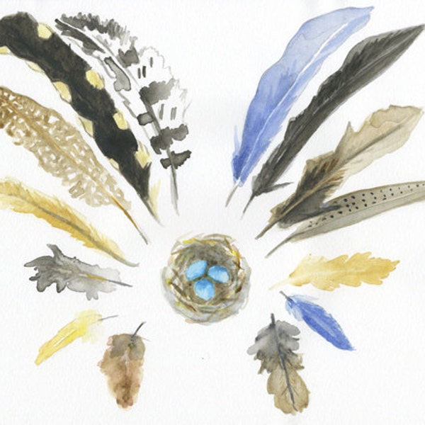 watercolor painting 8x10 archival print feather halo around a nest with blue eggs