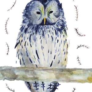 owl watercolor painting /  bird art / archival print of original
