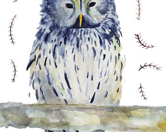 owl watercolor painting /  bird art / archival print of original