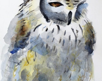 watercolor painting fluffy owl with amber eyes bird art print