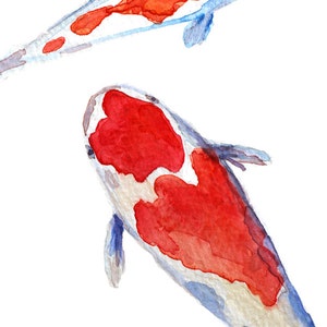 koi fish watercolor painting print colorful koi painting