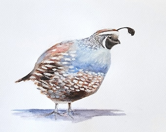 Quail watercolor bird painting archival print