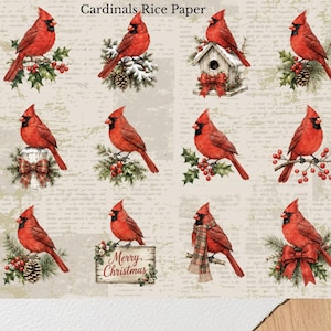 May include: A sheet of rice paper featuring twelve illustrations of red cardinals in various winter settings, including pine branches, holly berries, a birdhouse, and a sign with the text Merry Christmas, accompanied by a black-handled paintbrush.