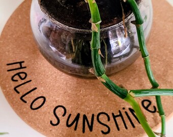 HOLA SOL - Salvamanteles redondo de corcho de 19 cm (7,5 pulgadas) personalizable