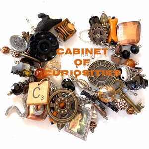 CABINET of CURIOSITIES Charm Bracelet image 1