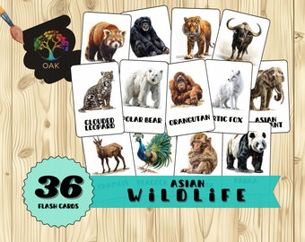 36 Tarjetas didácticas de animales salvajes asiáticos / Educación Montessori para niños / Tarjetas didácticas PDF / Tarjetas imprimibles / Educación en el hogar / Material de aprendizaje