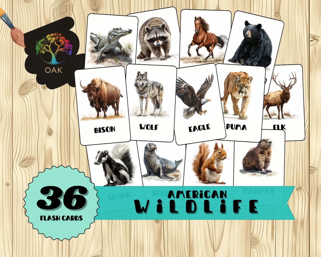 36 American Wild Animal Flashcards Montessori Education for Kids ...