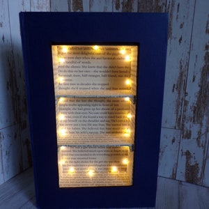 Display shelves in a book, knick knack shelf, hollowed out book, book nook display case, upcycled book, like printers tray, ideal gift.