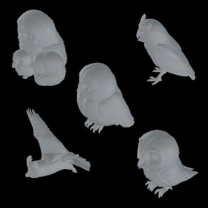 5x 3d stl owl files miniatures look for 3d printer machines | High quality models - instant download