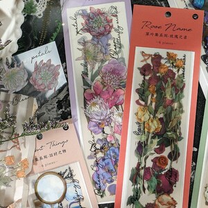 Grass & Leaf-collectie [3 stijlen, 6 vellen] - natuurlijke voorwerpen - PET-sticker van hoge kwaliteit - voor plakboek, dagboek, dagboek, notitieboekje, doe-het-zelf
