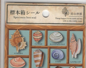 Mind Wave * Sea Shells * Specimen Box Seal * Japanese Sticker Set