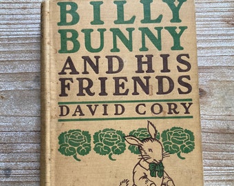 Billy Bunny And His Friends * David Cory * Clara L Van Vredenburgh * George H Doran Co * 1917 * Vintage Kids Book