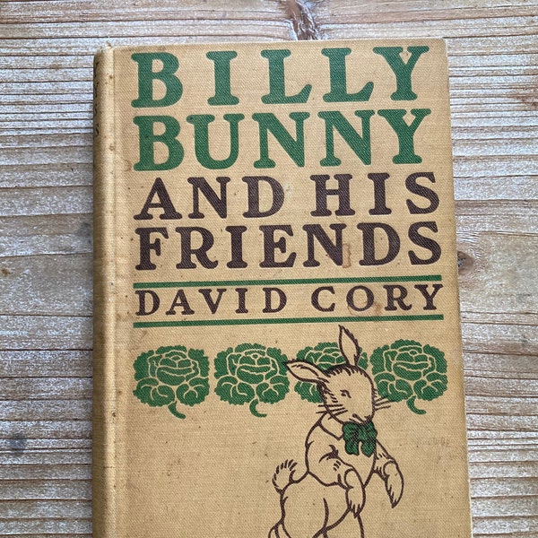 Billy Bunny And His Friends * David Cory * Clara L Van Vredenburgh * George H Doran Co * 1917 * Vintage Kids Book