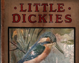 Little Dickies * W. Foster * Vintage Bird Book