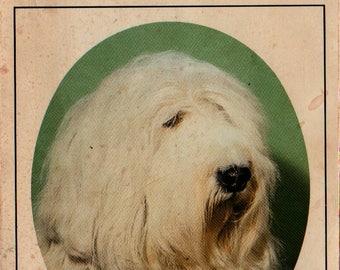 Vintage Hand Painted Old English Sheepdog Or Shaggy Dog Etsy