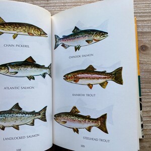 以下が含まれることがあります： さまざまな種類の魚、チェーンパイク、チヌークサーモン、アトランティックサーモン、レインボートラウト、ランドロックサーモン、スチールヘッドトラウトのイラストが描かれた本のページ。ページには各魚の名称も記載されています。