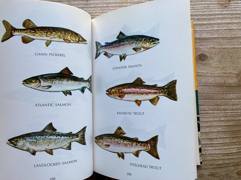 以下が含まれることがあります： さまざまな種類の魚、チェーンパイク、チヌークサーモン、アトランティックサーモン、レインボートラウト、ランドロックサーモン、スチールヘッドトラウトのイラストが描かれた本のページ。ページには各魚の名称も記載されています。