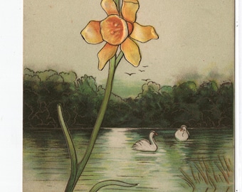 Birthday Greetings * Swans * Daffodil * Victorian Era * Early 1900s * Vintage Postcard