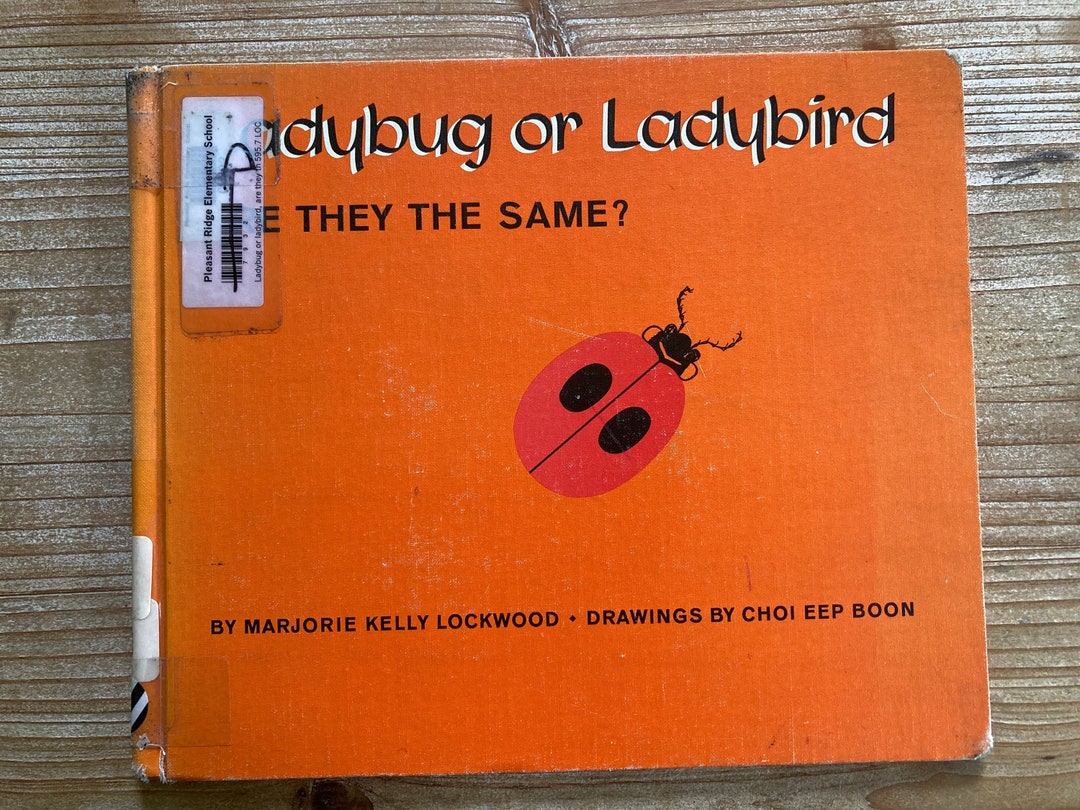 Ladybug or Ladybird Are They the Same Observation Series Marjorie Kelly