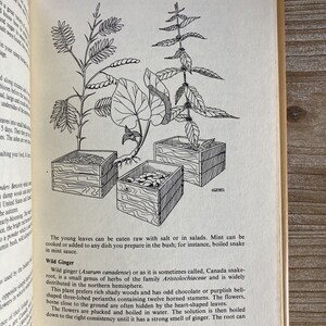 May include: A black and white illustration of a plant called wild ginger, also known as Canada snake-root. The illustration shows the plant growing in a shaded area with three wooden boxes. The text describes the plant's properties and how to use it.