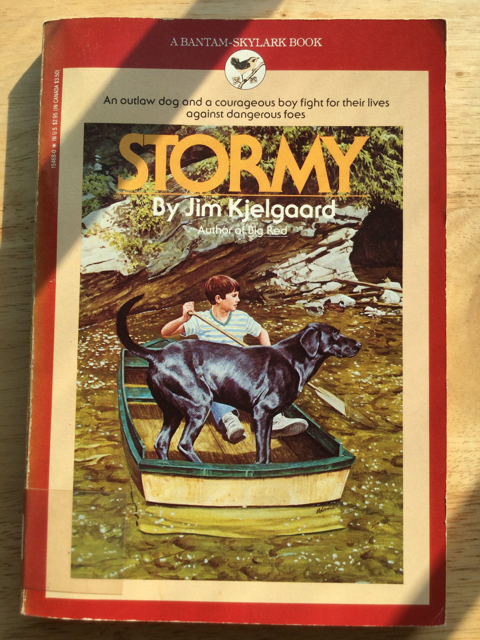 Stormy Jim Kjelgaard Bantam Books 1986 Vintage Dog Etsy