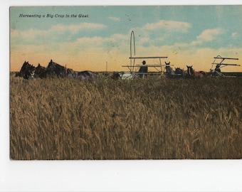 Harvesting a Big Crop in the West * Canceled Stamp * 1911 * Vintage Postcard