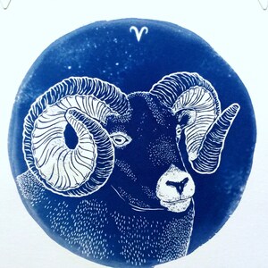 ARIES cyanotype print – original zodiac illustration
