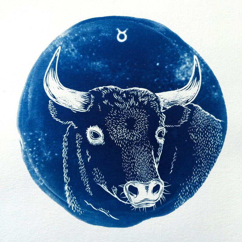 TAURUS cyanotype print \u2013 original zodiac illustration
