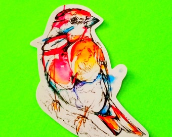 BACK IN STOCK - Bird Sketch Seed and Bug Eaters Sweet Sparrow Colourful Cutie Watercolor Wonder Waterproof Vinyl Sticker - More Styles!